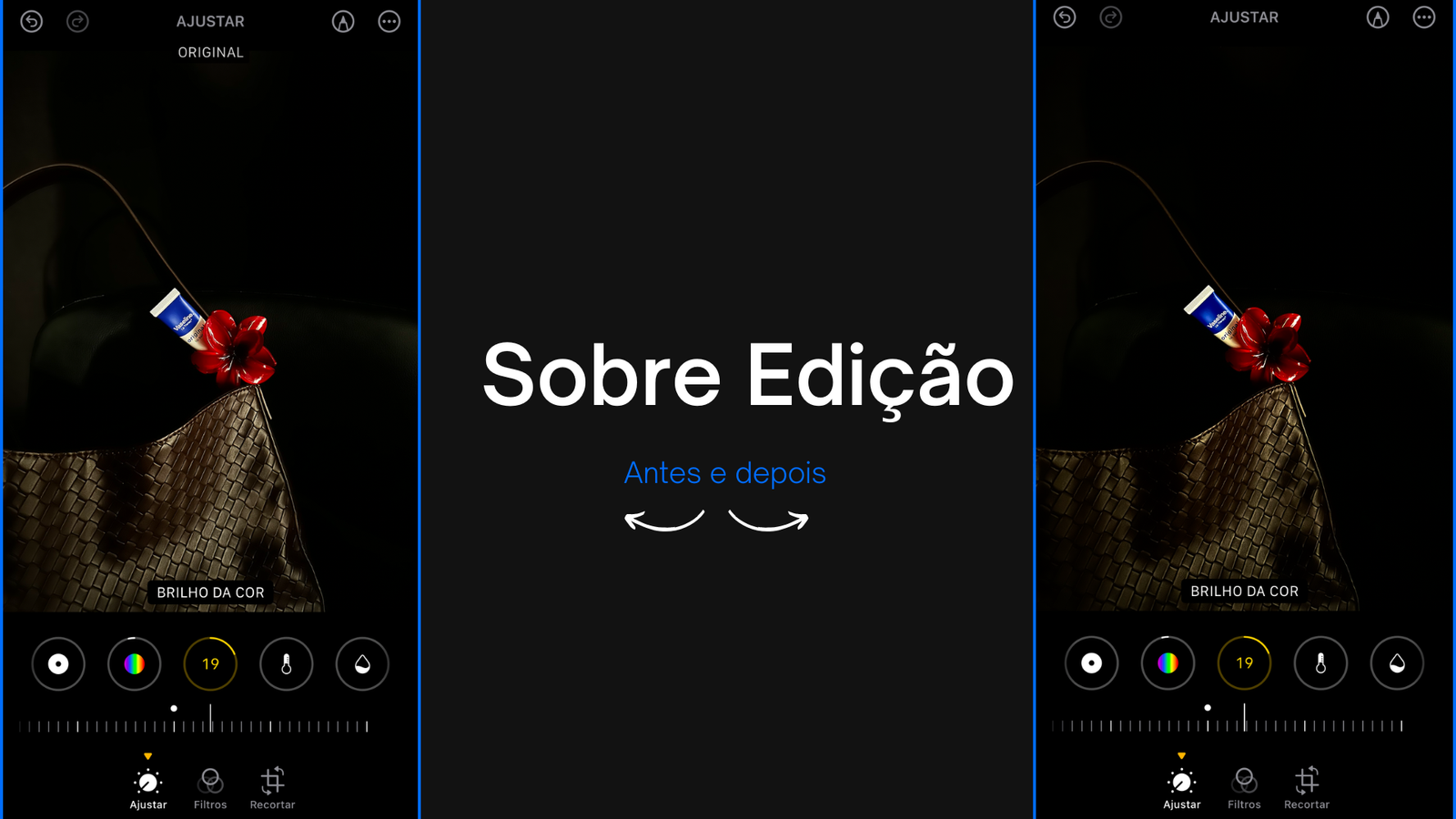 1 Heading + 2 Paragraphs